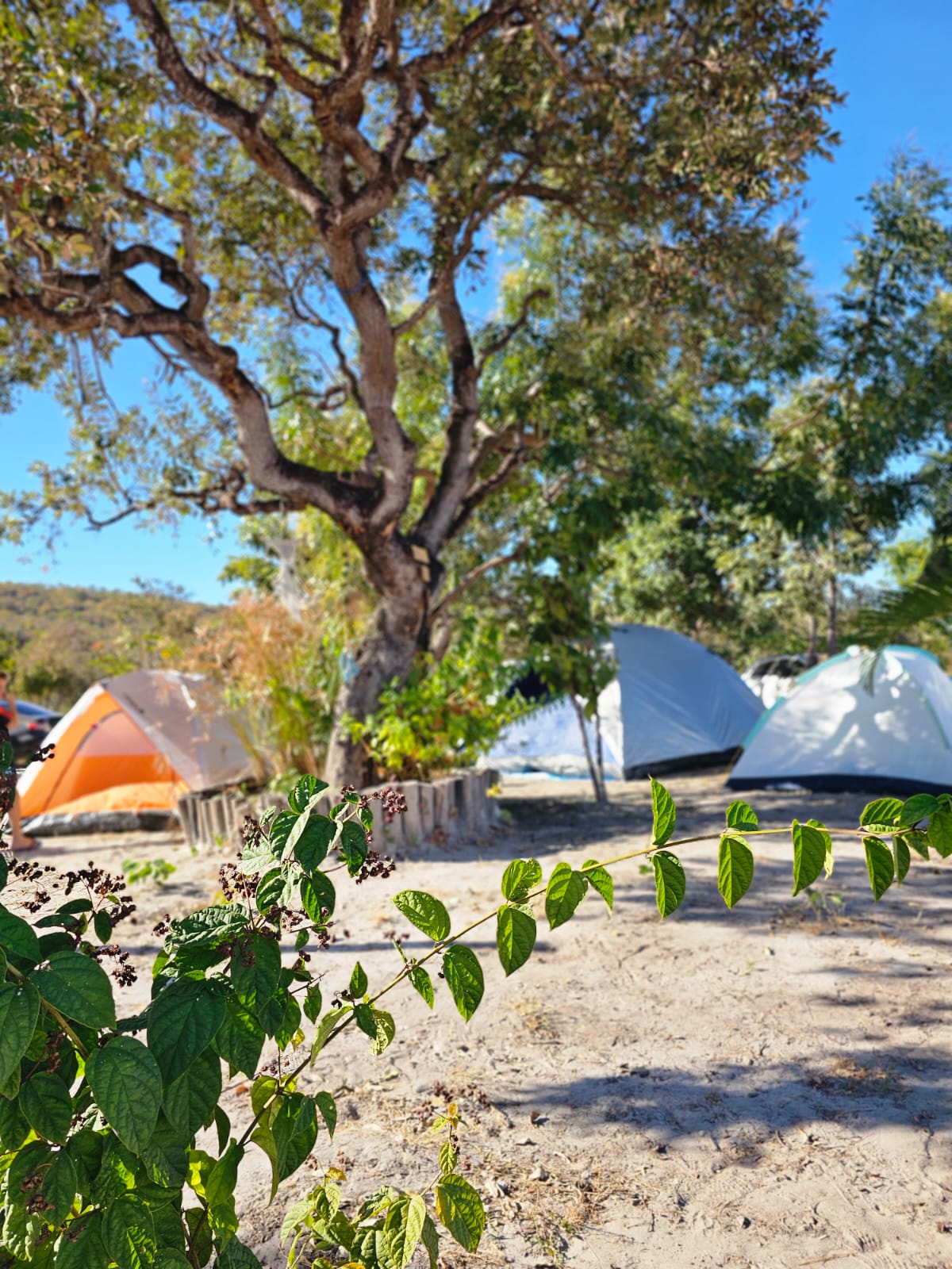 Área de Camping