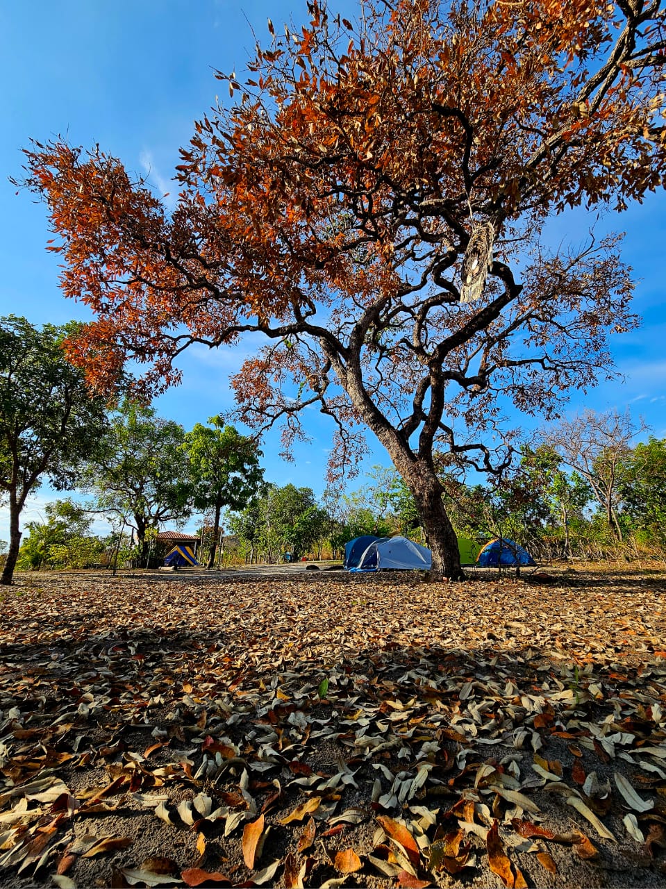 Área de Camping