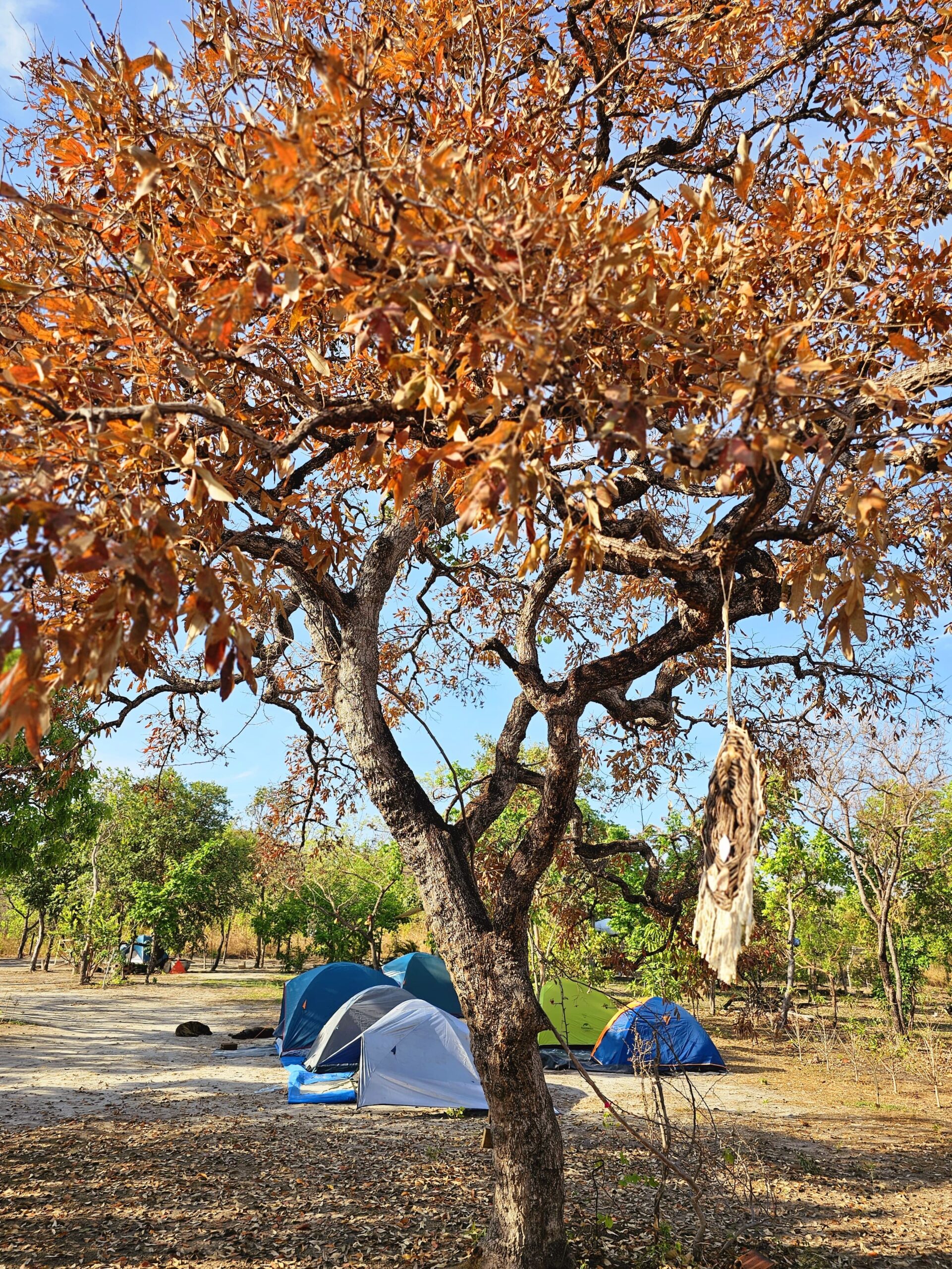 Área de Camping