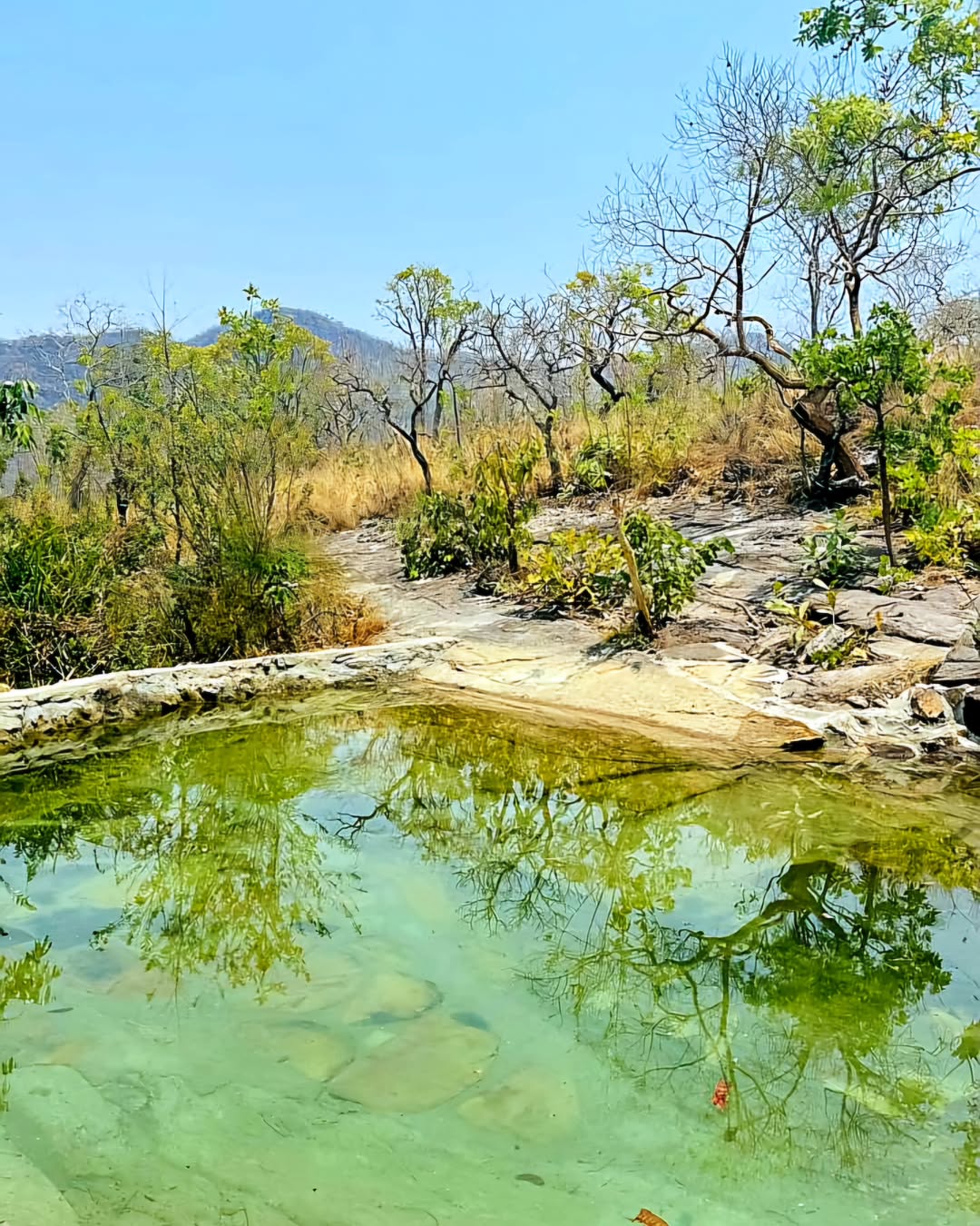 Piscina Natural de Água Corrente