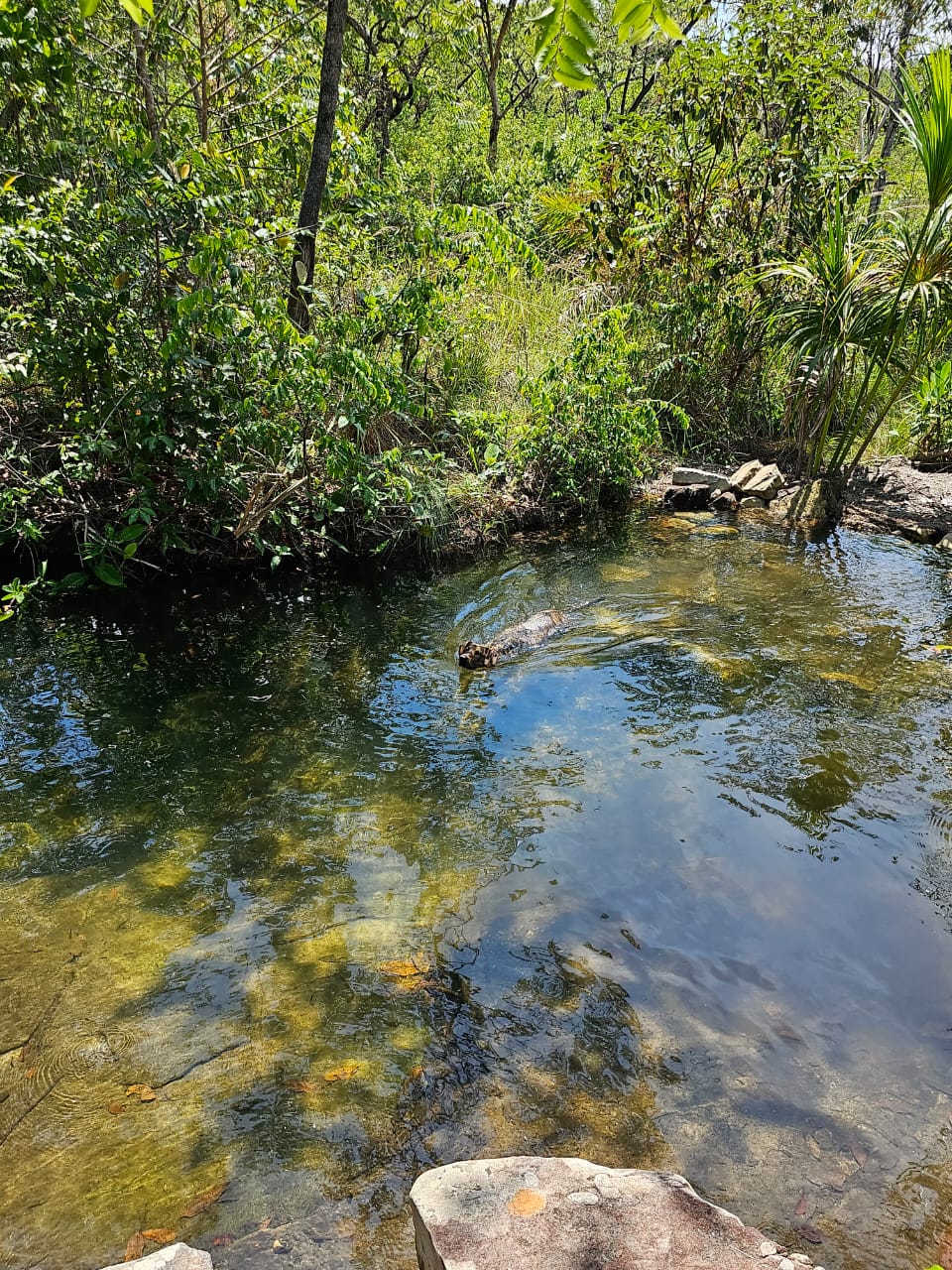 Poço Natural